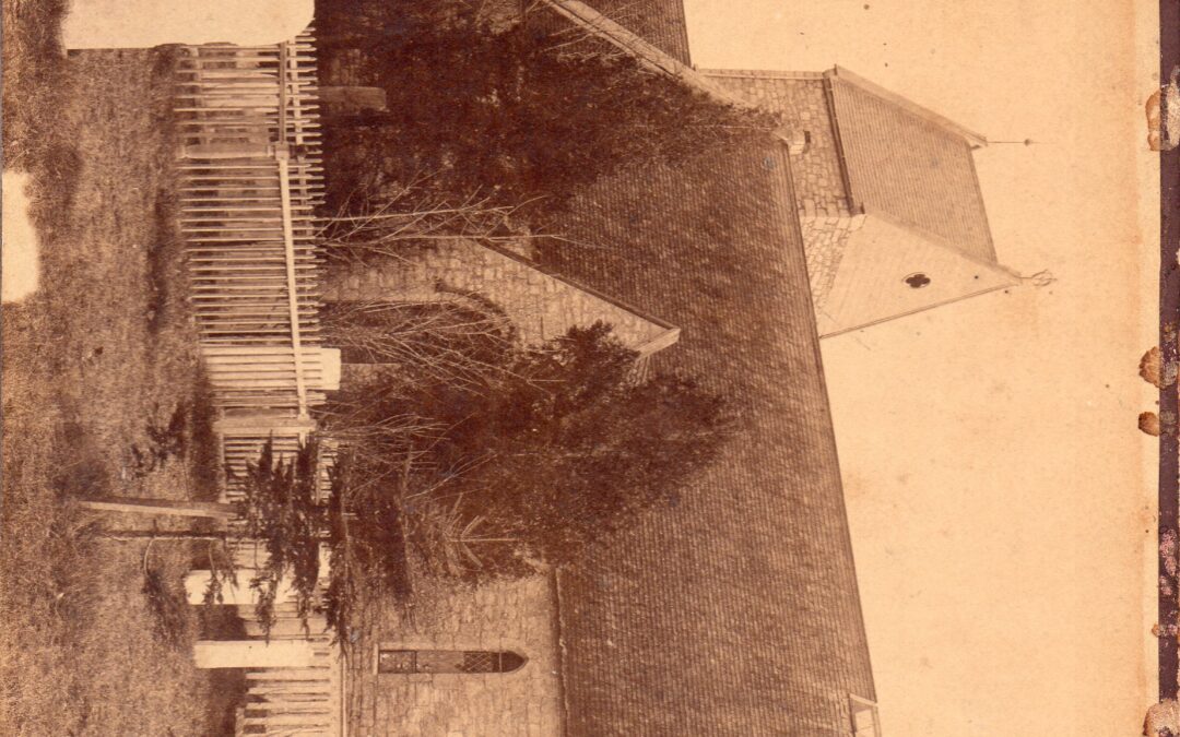 Solving the Peter Street Cemetery Mystery