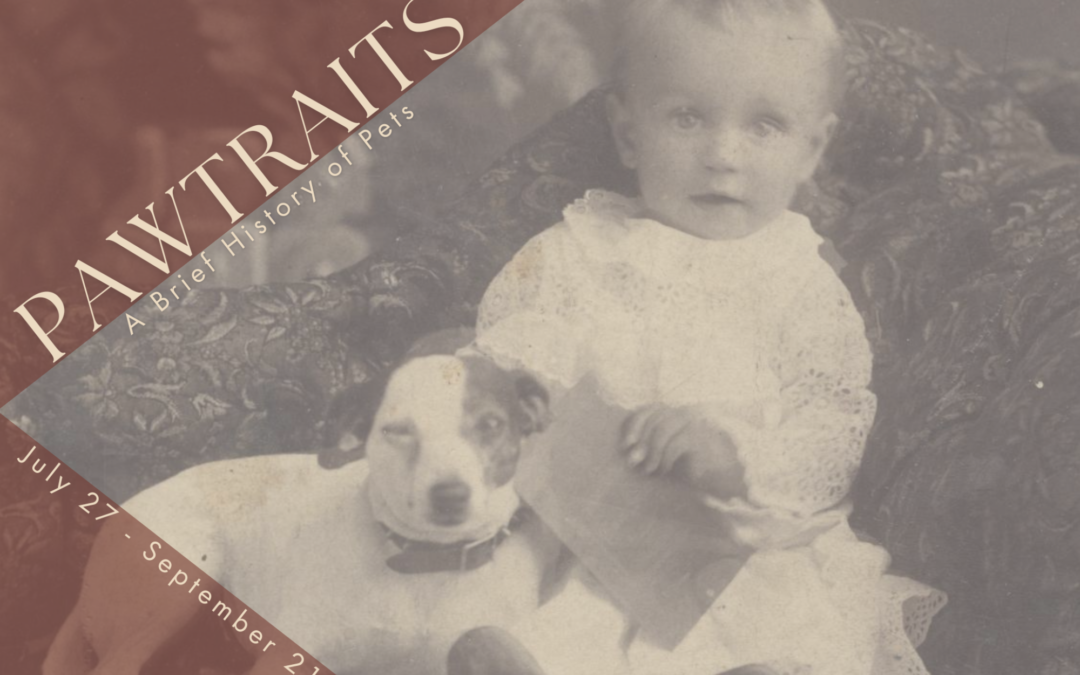 PAWTRAITS