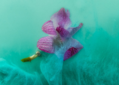 29th Annual International Women’s Day Art Show