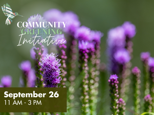 Community Greening Initiative