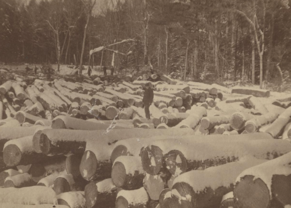 Historic photograph of logs from Orillia's early industrial era